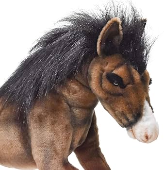 71BuE+CSQZL._AC_UF350,